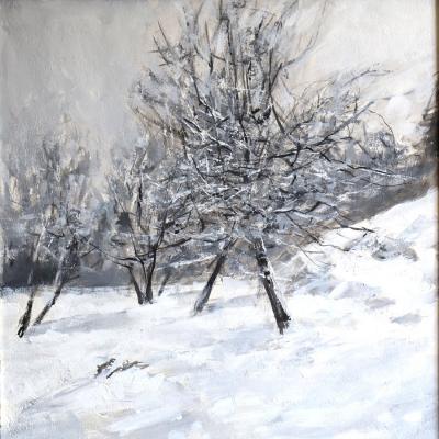 Apple Trees In The Winter 2020 Sold