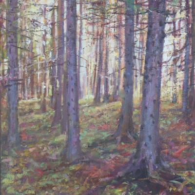 Forest 2023 30x40cm Oil On Canvas Sold